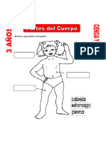 Partes-del-Cuerpo-para-niños-de-3-años