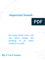 IMPORTANT SOUNDS