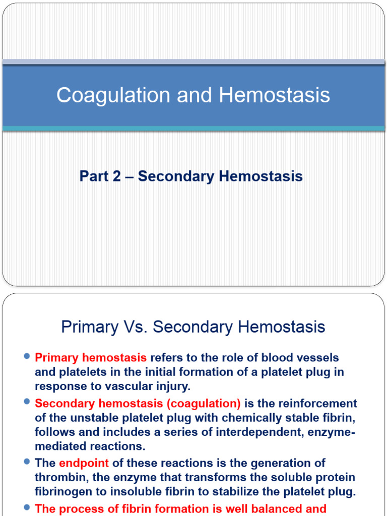 Secondary Hemostasis & Coagulation | PDF | Coagulation | Platelet