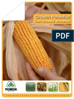 Corn Workshop Book