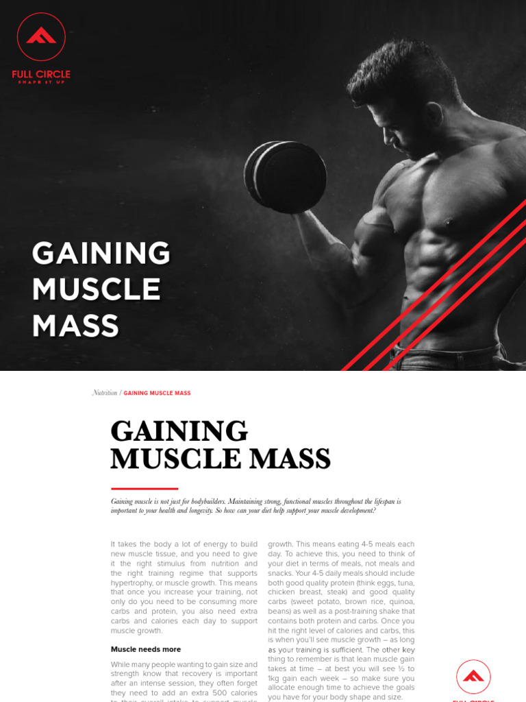 Essential Guide to Gaining Muscle Mass | PDF | Muscle Hypertrophy ...