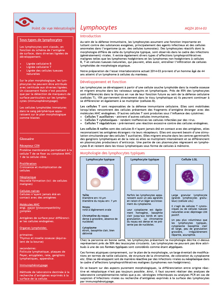 Classification des lymphocytes atypiques | PDF | Lymphocyte | Lymphocyte T