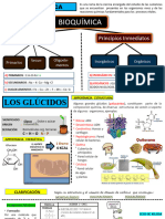 Biomoléculas Resumido