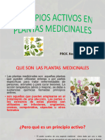 Principios Activos en Plantas Medicinales