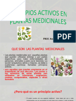 Principios Activos en Plantas Medicinales (1)