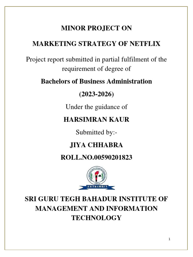 Netflix Marketing Strategy Analysis | PDF | Methodology | Quantitative ...