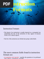 Instruction Formats