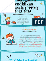 PPPM 2013-2025 