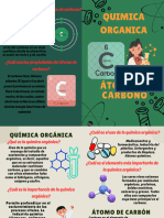 Quimica Organica: Átomo de Carbono