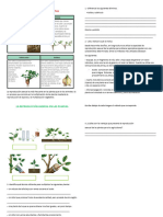 Reproduccion Asexual de Las Planta - Actividad