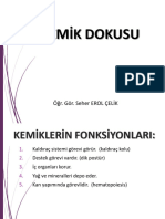 3- Kemik Dokusu