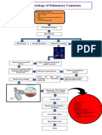 Patho of Pulmonary Contusion