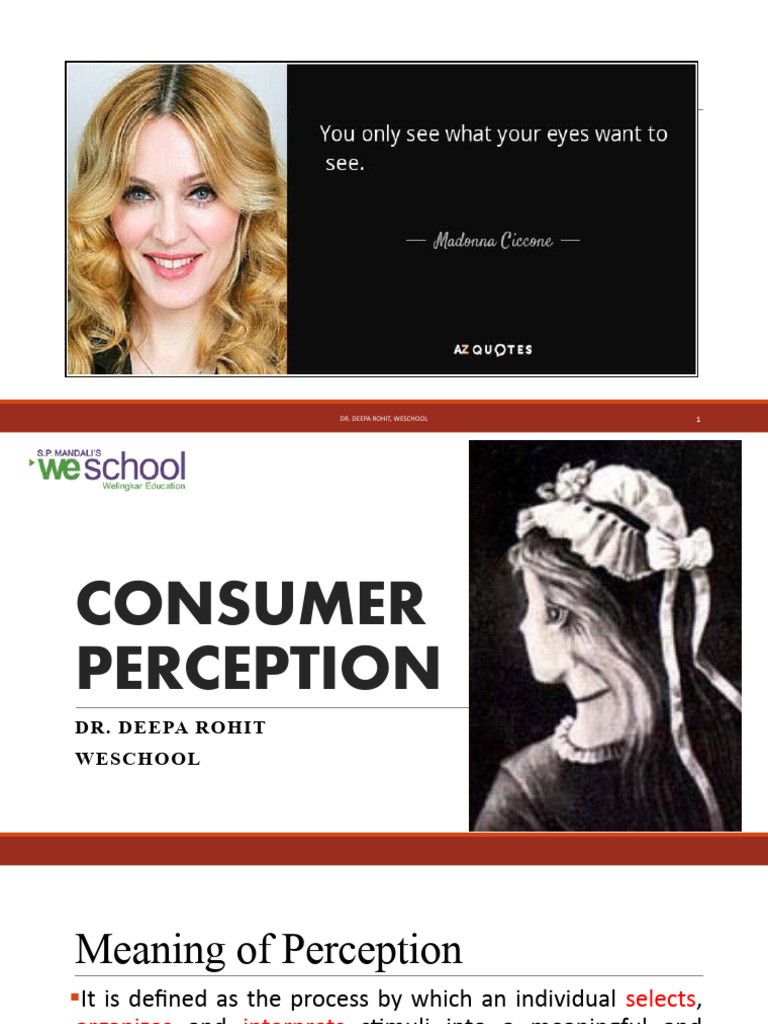 Perception Pdf Perception Risk