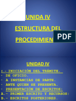 Unidad IV - Estructura Del Procedimiento