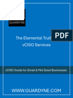 Guardyne the Elemental Truth of VCISO Services