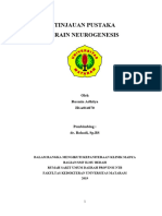 Neurogenesis Brain