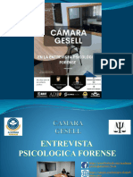 Camara Gessel Academia Forense