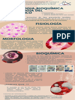 infografia sistema nervioso anatomico azul beige_20240307_095657_0000