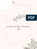 Labour Relations 314 - Notes A2 Preview
