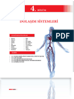 6-Kalp, Damar Ve Kan Dolaşımı