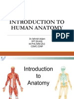Intro To Anatomy