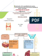 Grafico Mapa Conceptual Esquema Sencillo Multicolor - 20240404 - 211318 - 0000