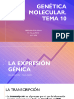 Tema 10 Presentación