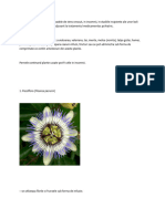 Proiect PDF