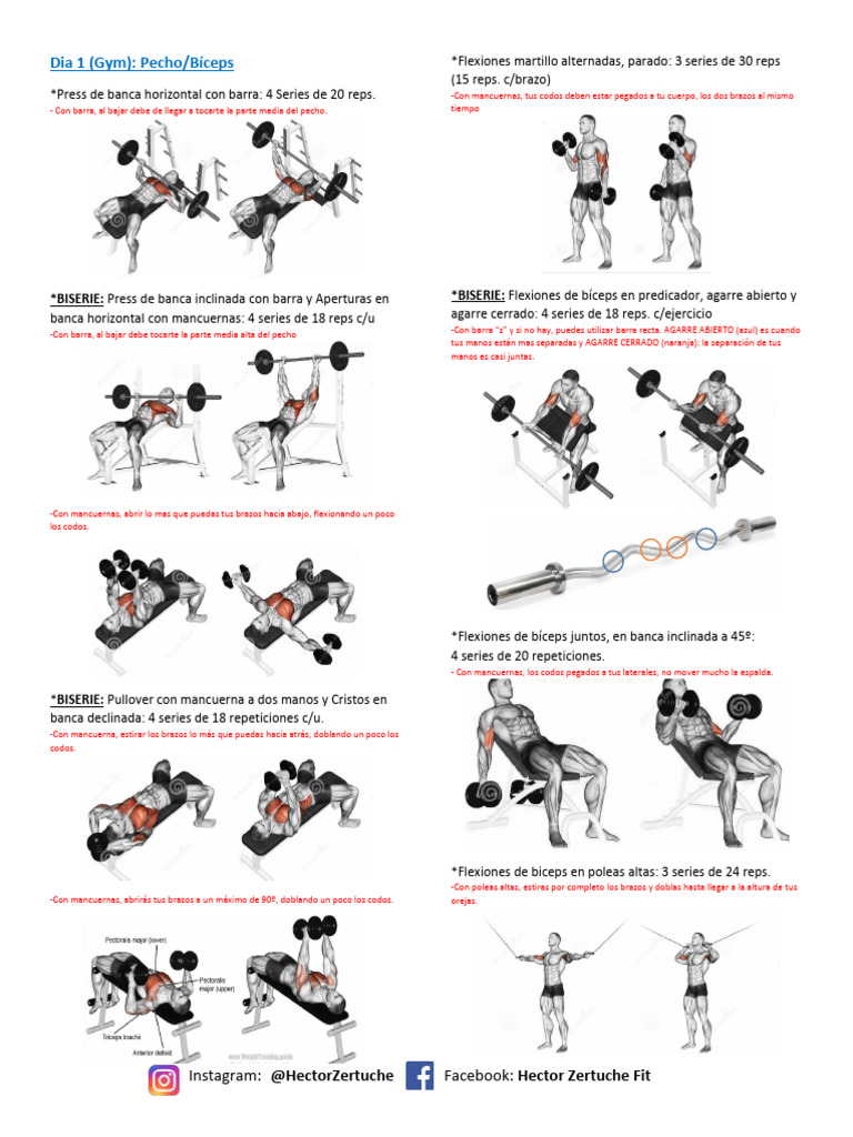 Espalda Gym Ejercicios Para Los Biceps En Casa Pin De Isabel En