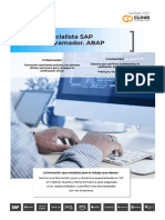Especialista SAP Programador. ABAP
