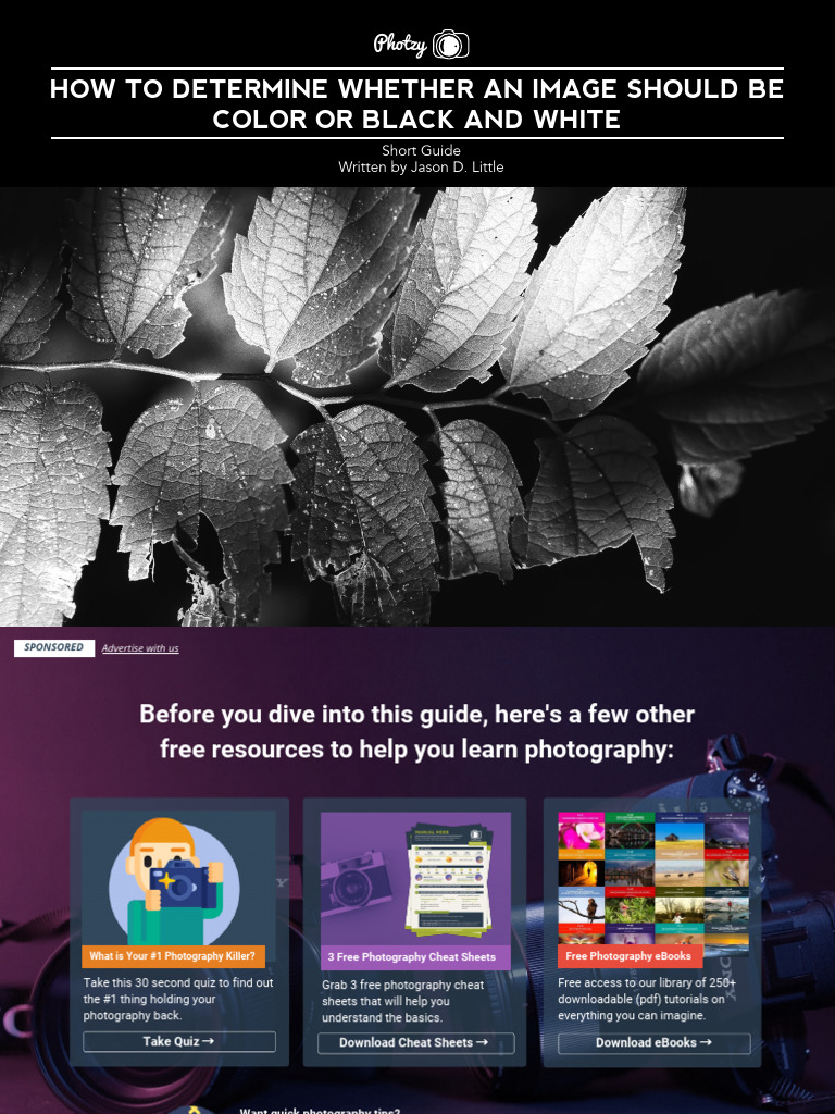 Color vs. Black and White Photography Guide | PDF | Image | Photograph
