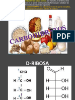 Carbohidratos Celulosa
