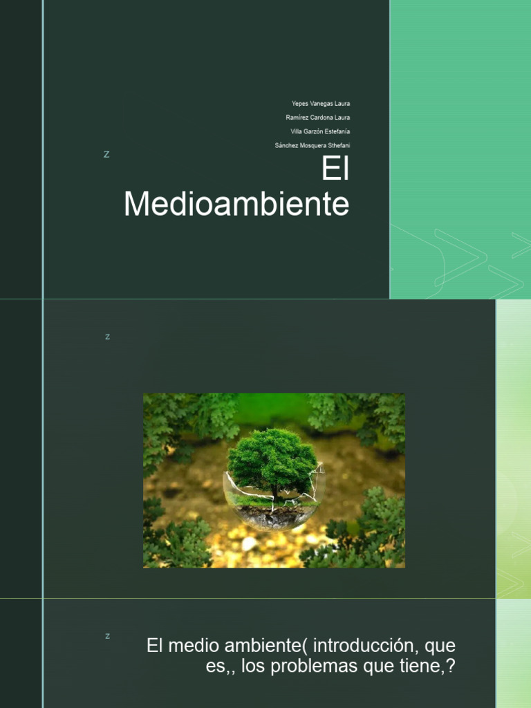 Importancia del Cuidado del Medio Ambiente | PDF | Entorno natural ...