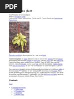 Html Easy Editlobster Productions