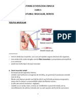 Anatomia Si Fiziologia Omului. Curs 5 - ŢESUTURILE MUSCULAR, NERVOS