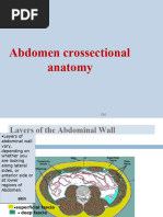 Anatomy of the Colon Explained | PDF | Large Intestine ...
