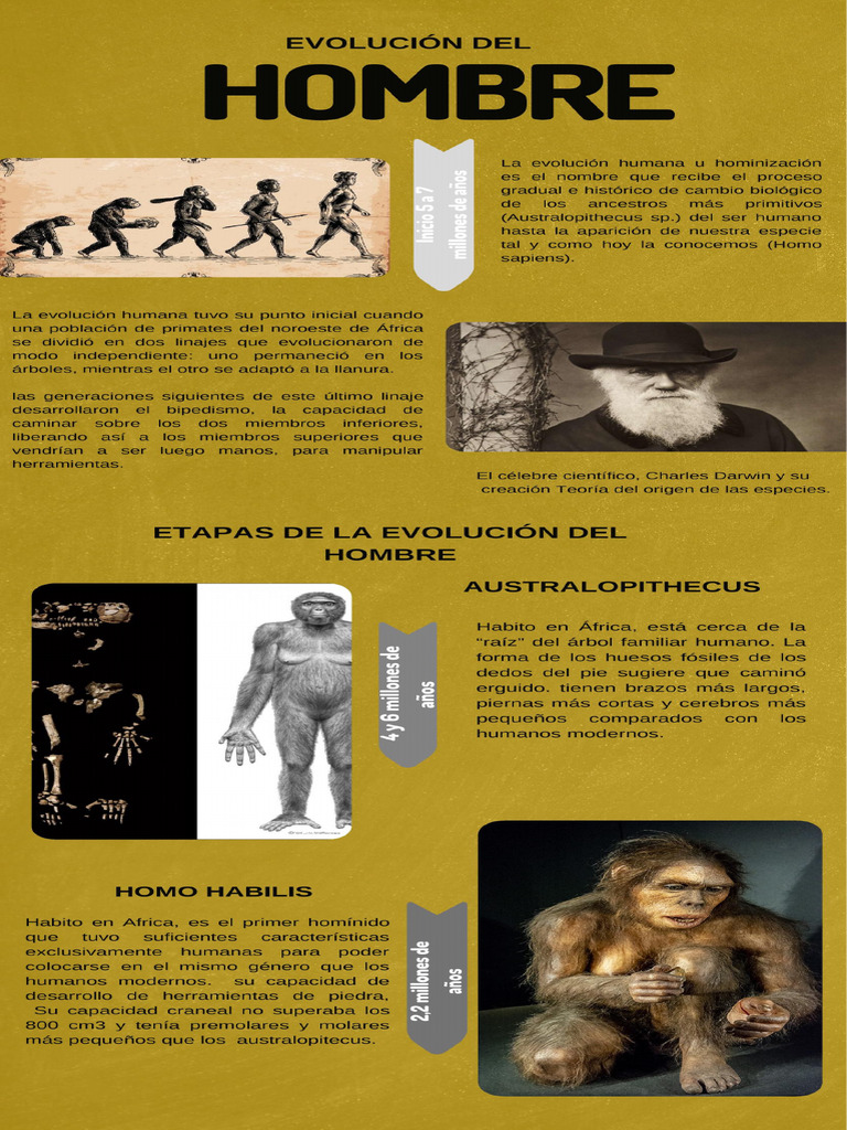 Ochagavía visual data 7