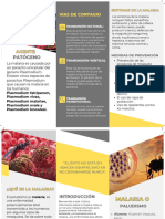 Folleto Brochure de Servicios Empresa Profesional Amarillo