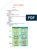 ŽIVOT V MORI (živočíchy - bezstavovce) (1)