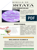 Hablemos Sobre El