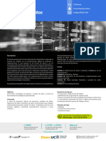 Brochure DP Ciencia de Datos