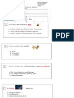 Evaluacion ciencias adecuada