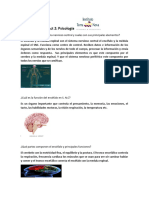 Act 2: Psicología: ¿Cómo Funciona El Sistema Nervioso Central y Cuales Son Sus Principales Elementos?