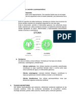 Tejido Vegetal II (Protector, Secretor y Parenquimático)