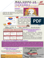 Infografía del equipooo 6