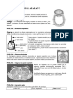 1º - Respiratorio Multimedial