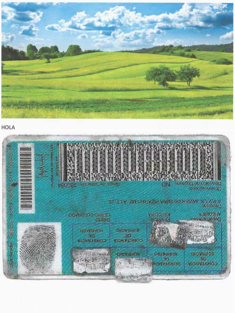 SCANEO | PDF