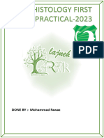ORAL HISTOLOGY FIRST EXAM-PRACTICAL-2023-1
