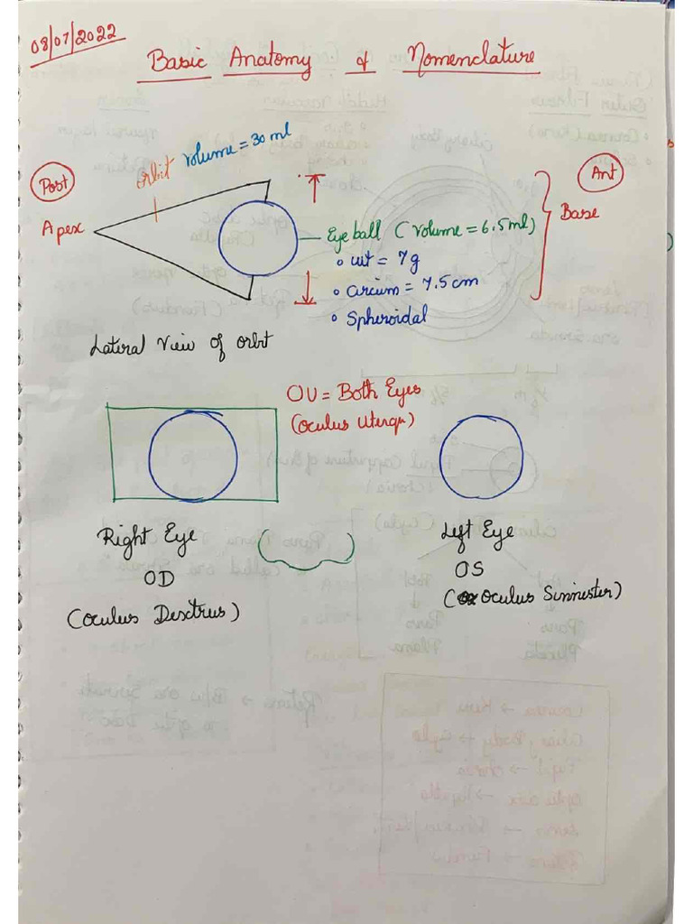 Ophthal Full Notes | PDF