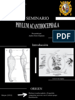 Seminario Acanthocephala